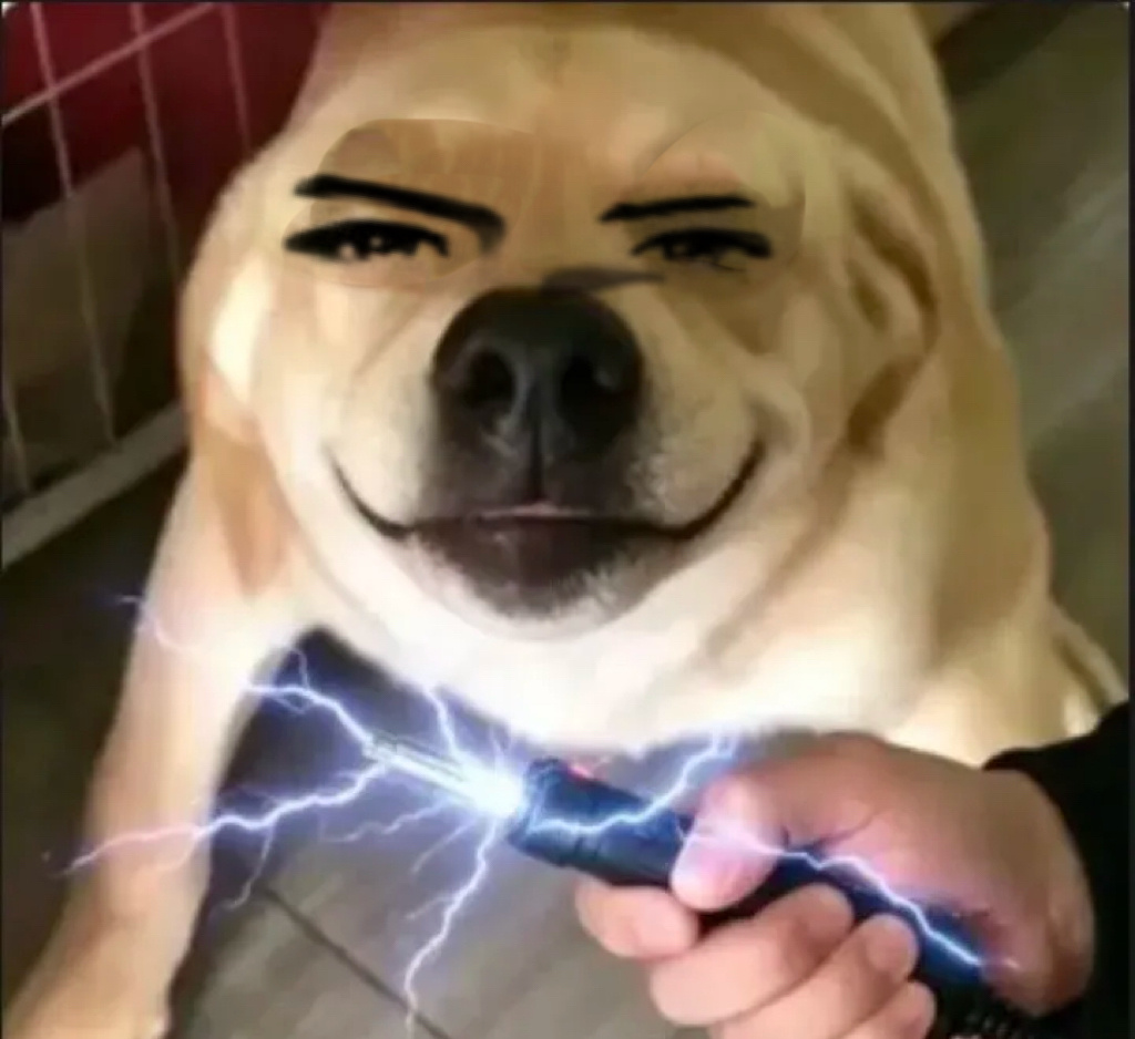 恋与深空恋与神偷 大屏故障🤣🤣🤣🤣√只有ji日懂不 
