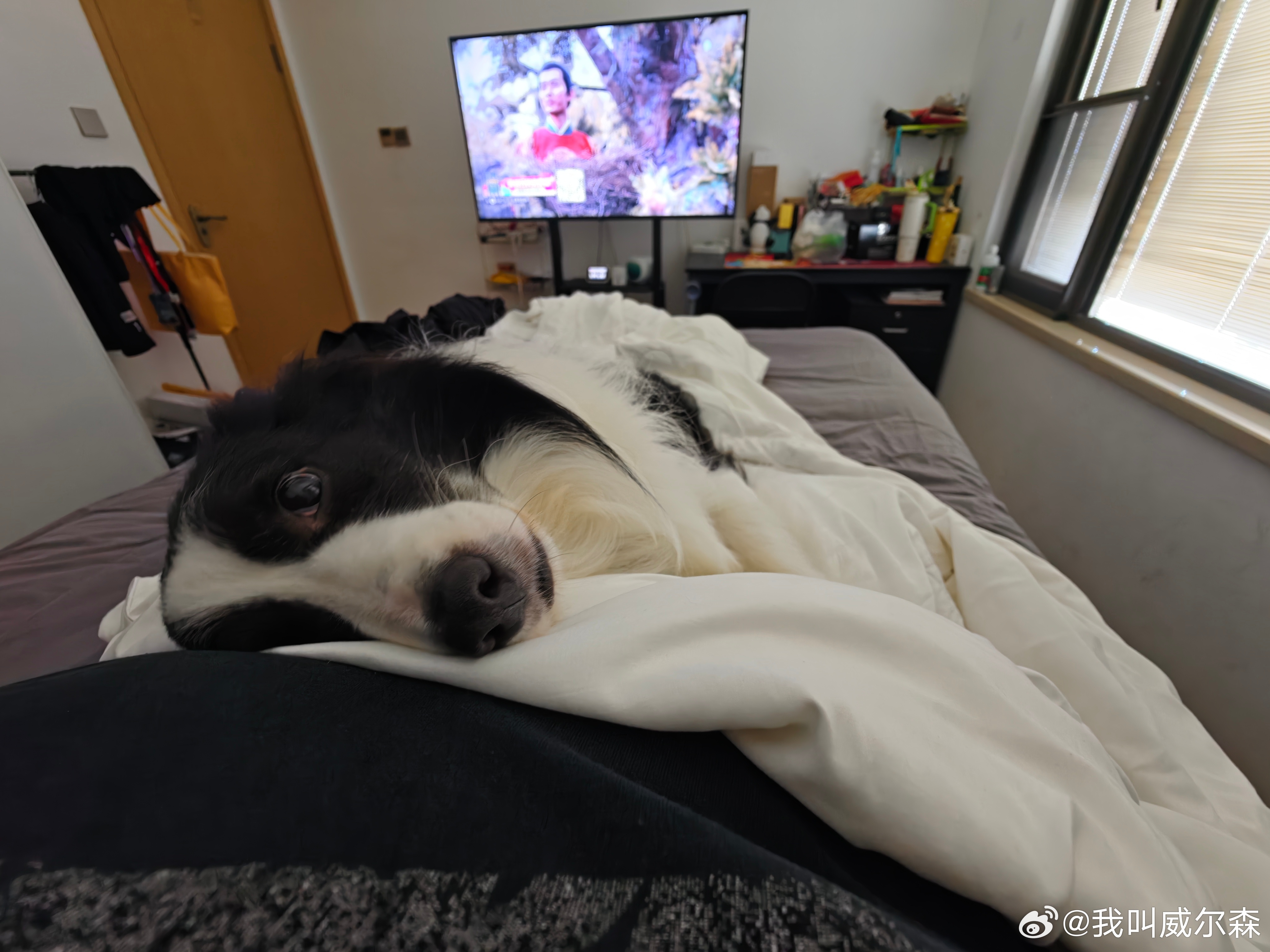 哥，你四十多斤…日常分享