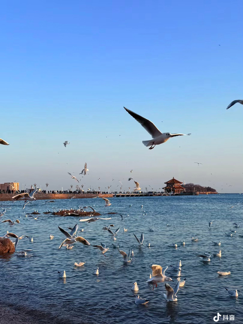 您变成了天上的星星，而我学会了在夜里抬头，和您悄悄说说话。后来才明白，真正的离别