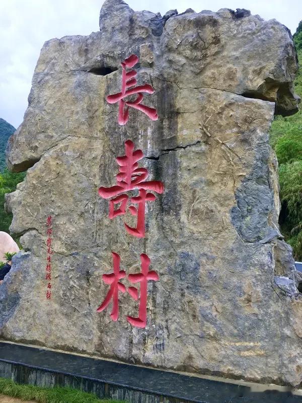 昨天周六，我跑到武安西部太行山深处的长寿村溜达了一圈。这地方的环境那叫一个棒，简