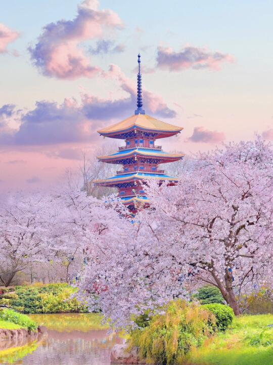 接下来的武汉，堪称国内赏花旅游天花板....