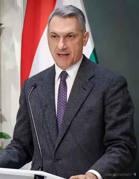 坏大事了？
匈牙利到4月份就要举行大选，目前匈牙利的各个政党正在进行紧张的、激烈