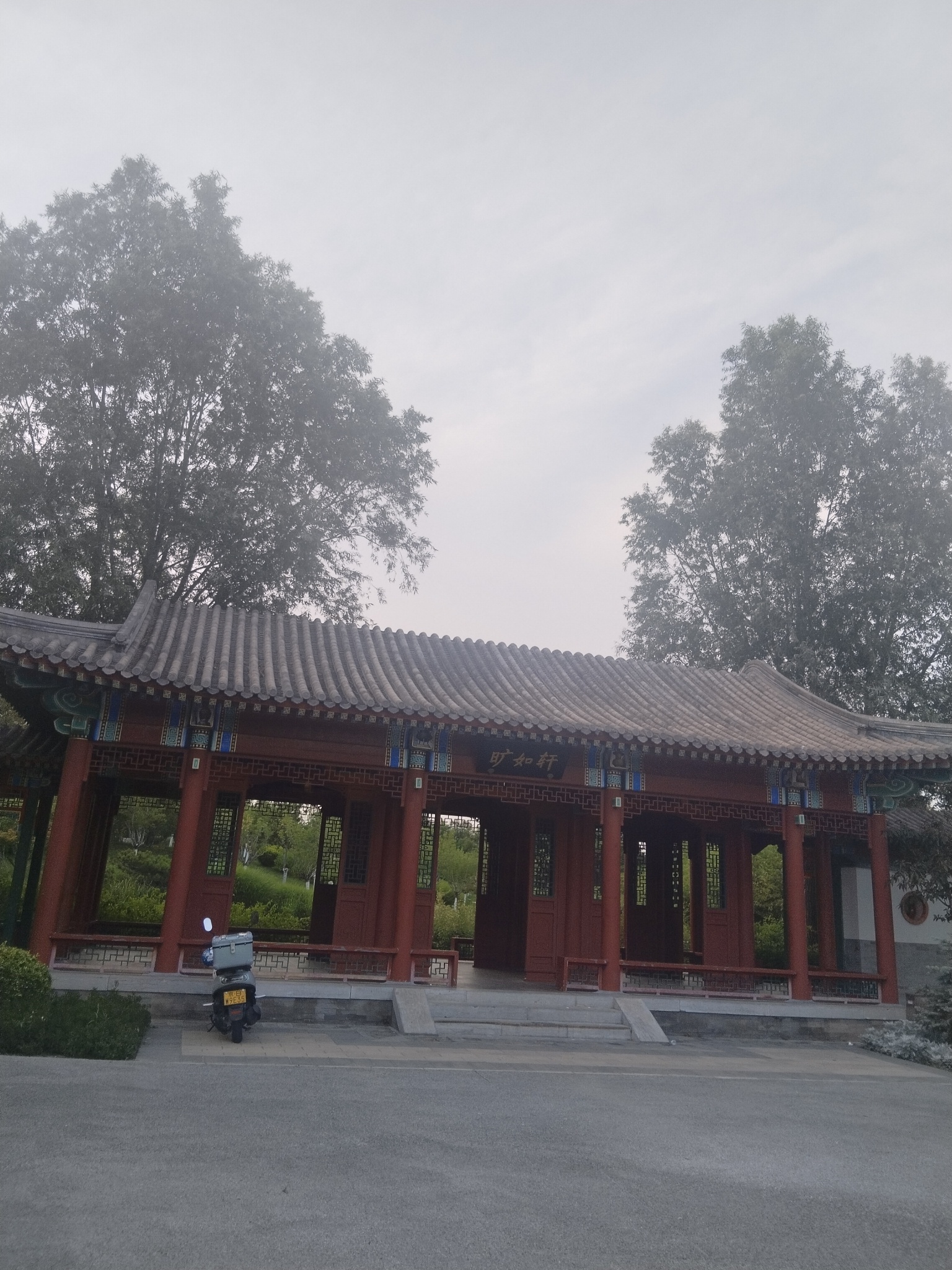 湖中莲花。 湖边，树丛，天空，行走……每日一画 人像摄影 沐月记  绿洲