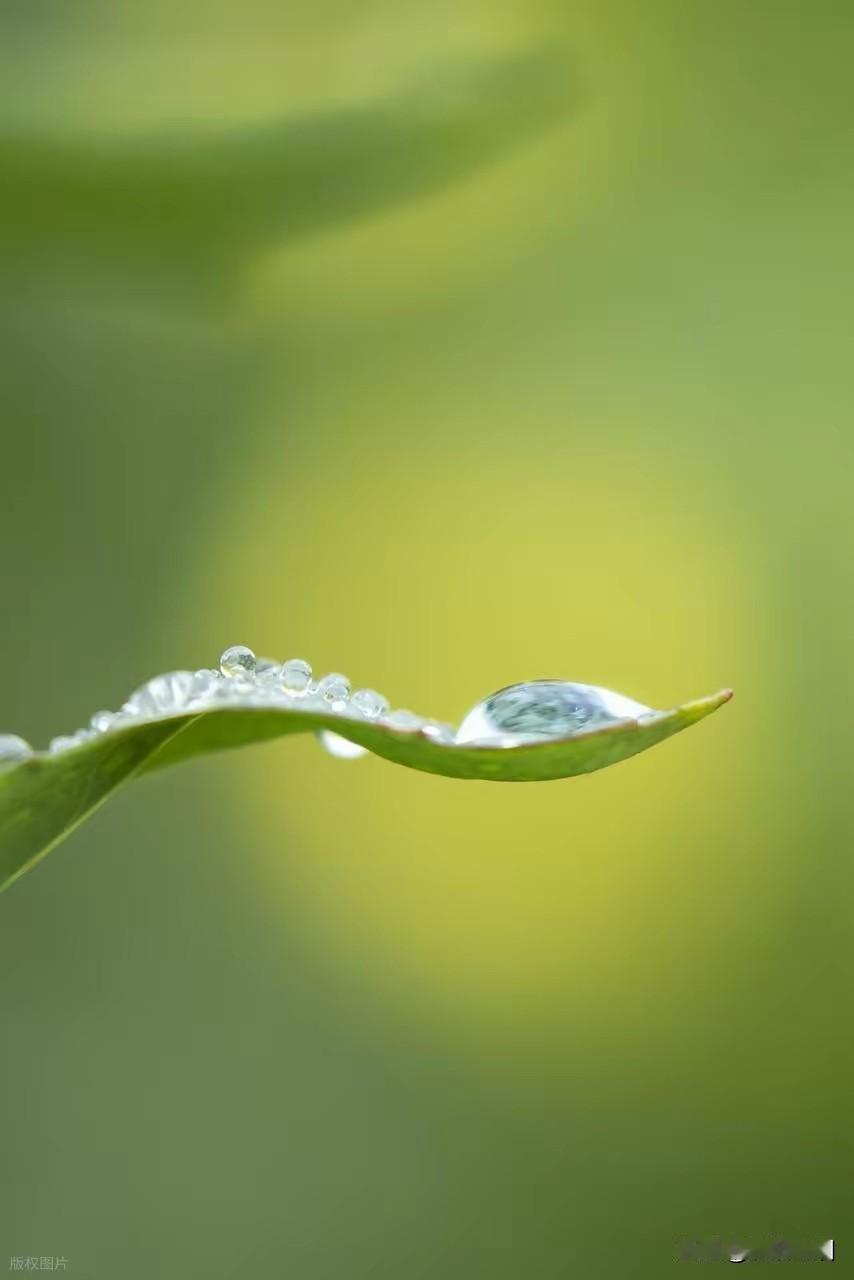 一个人内心丰盈远胜过任何外在的东西

不要向他人解释自己，无需在任何事上自证清白