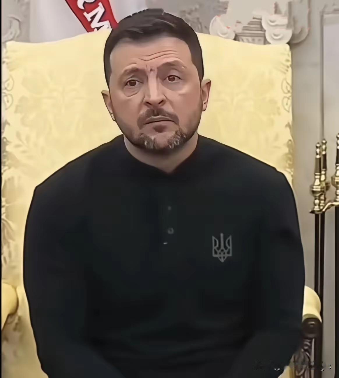 美国制定的28条新和平计划中的第25条是——乌克兰必须在100天以内举行总统选举