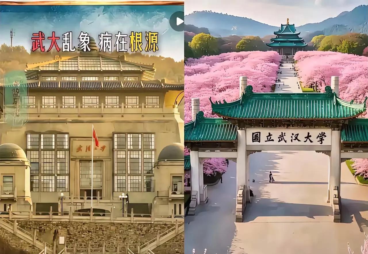 武大最不想看到的事情，终究还是发生了！  

武汉大学这几日被撤销985资格的呼