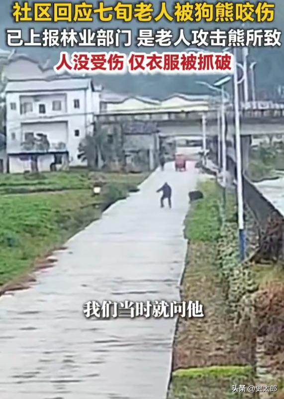 重庆巫溪，一7旬老人在离自家门口约200米处，看见路上晃悠过来一头黑熊，顺手捡起