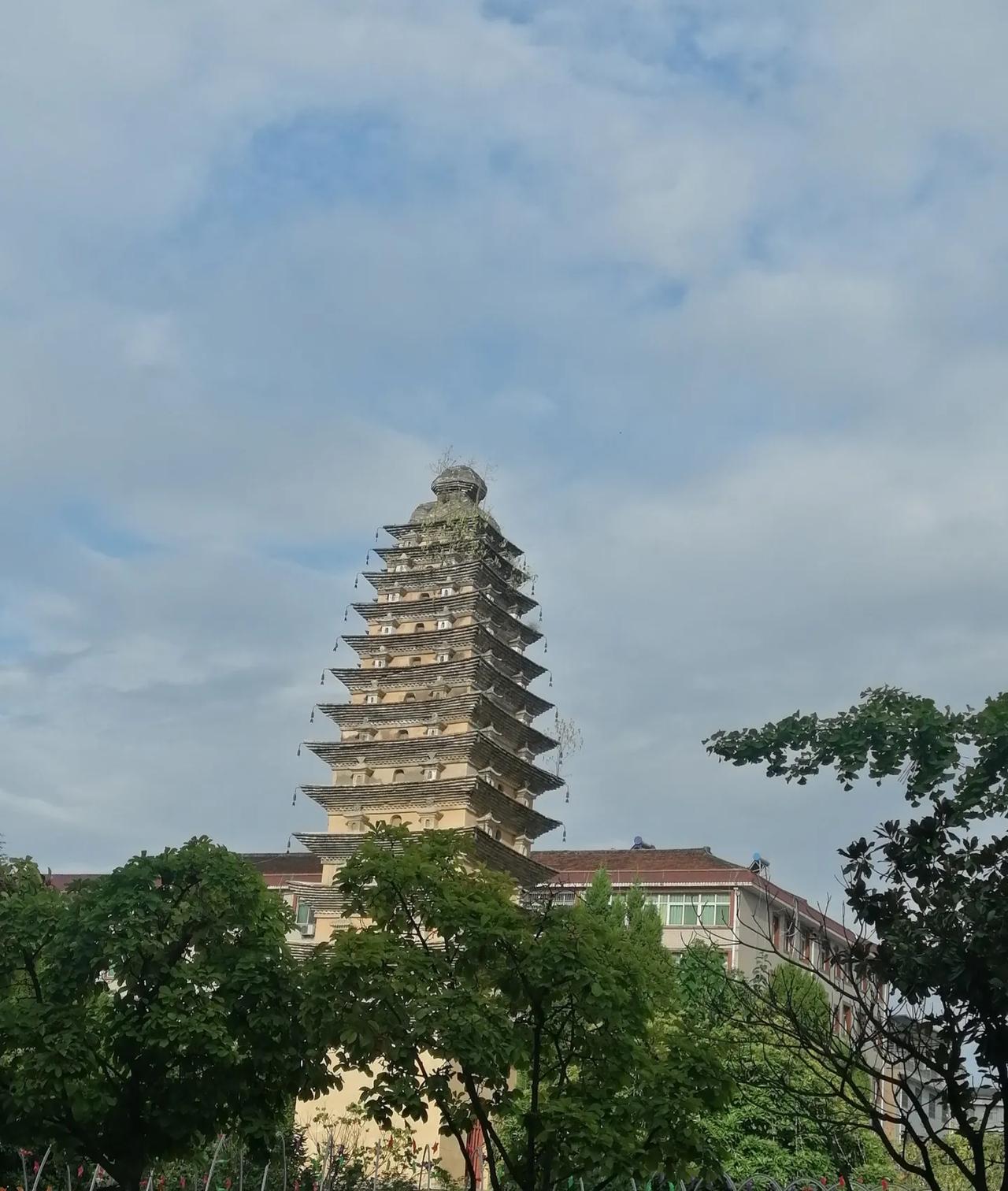 被自己蠢笑了！
昨天看到通知，还特地发了一个微头条，说是“幸福来的太突然，早上就