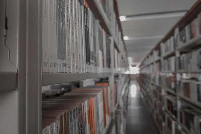 鲁迅与莫言这两位文学巨匠，常被放在一起比较。

如果说鲁迅是中国现代文学“父亲的