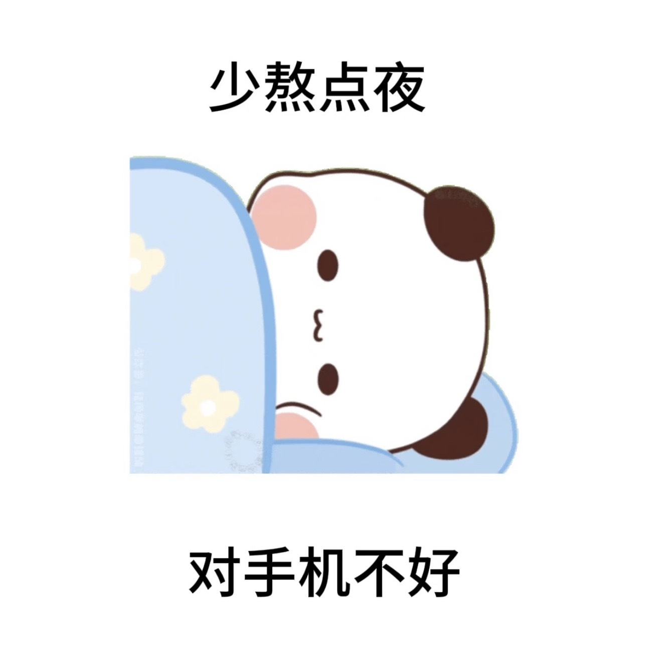 晚安💤各位小伙伴们 