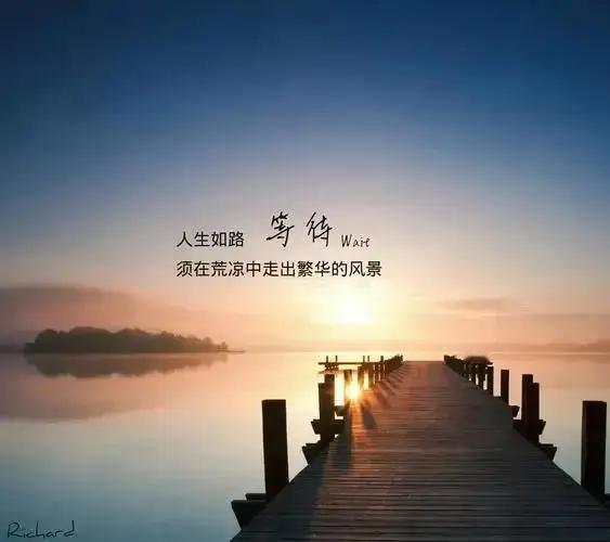 生活真相｜人间最通透的现实🌿
万种调料🥣，不如一味盐🧂
万般人情👥，不如