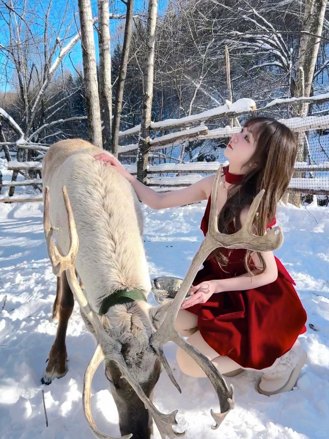 北方人应该穿两个南方人在身上哈哈❄️