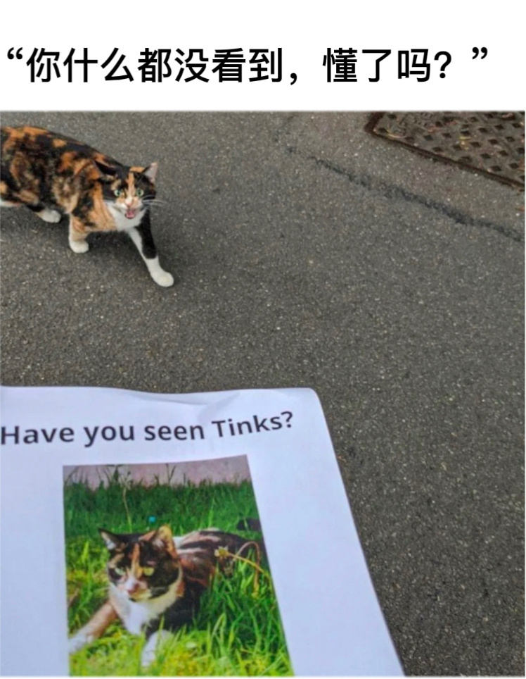 收到#今日memes##趣过夏天# ​​​