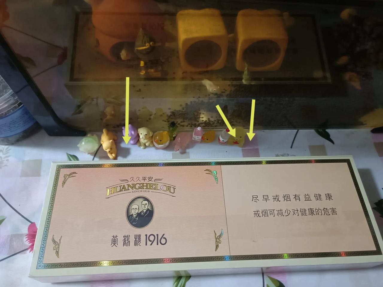 我的小鱼好八卦，1916[what]。哦久久平安。图三，是武林秘籍吗？智者010