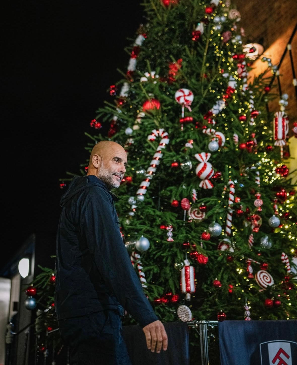 圣诞树下的瓜🎄 