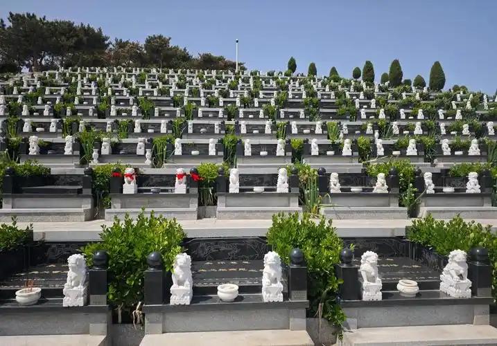 一位社会学者说：人死后就是一块臭肉。土葬是让他慢慢烂掉，火葬是快速烧掉。二者皆有