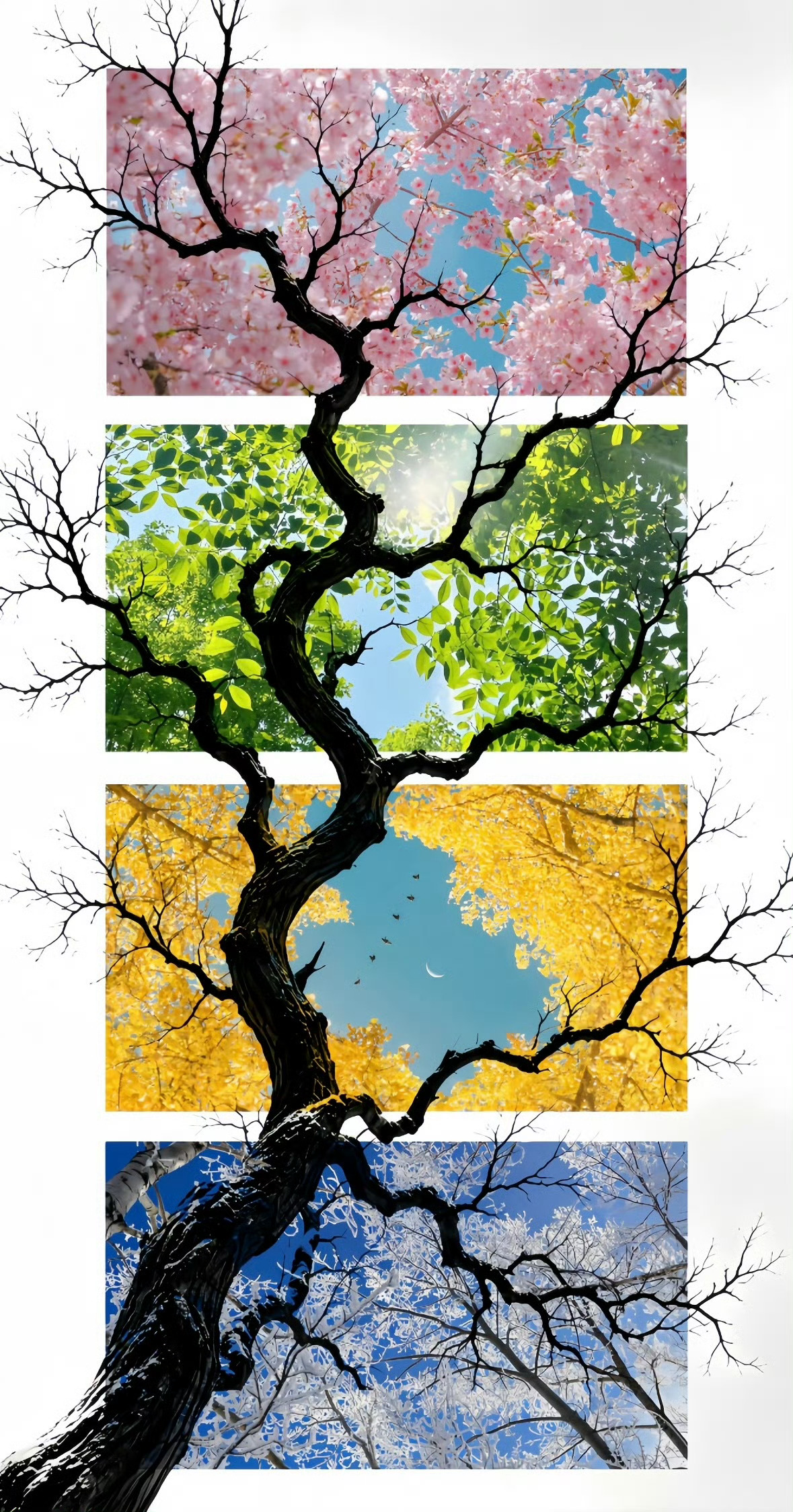 “春夏秋冬 四季更替🌿” ​​​