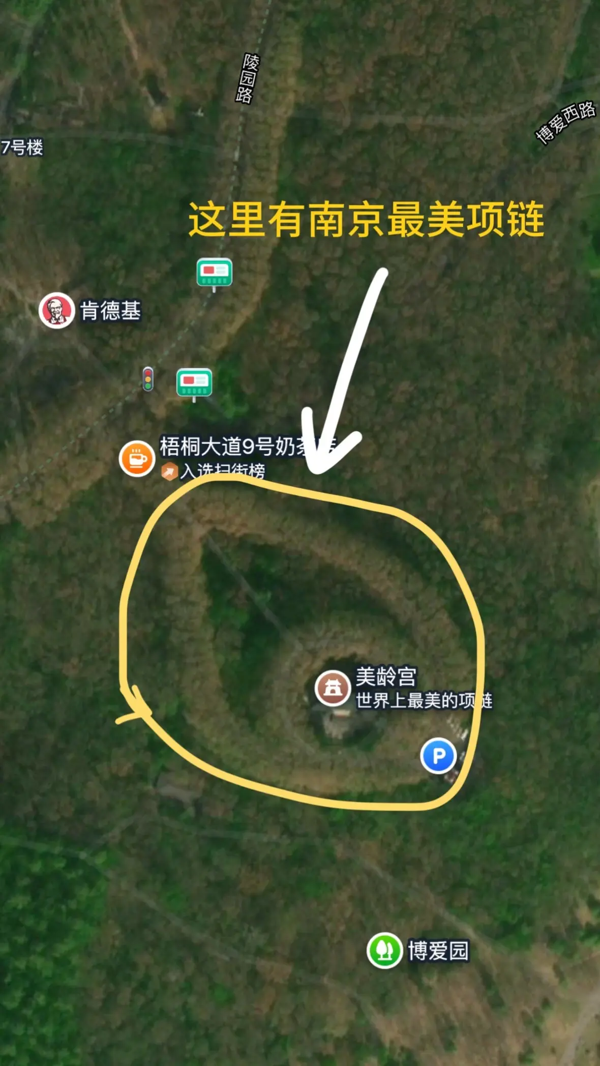 世界是一本巨大的教科书。