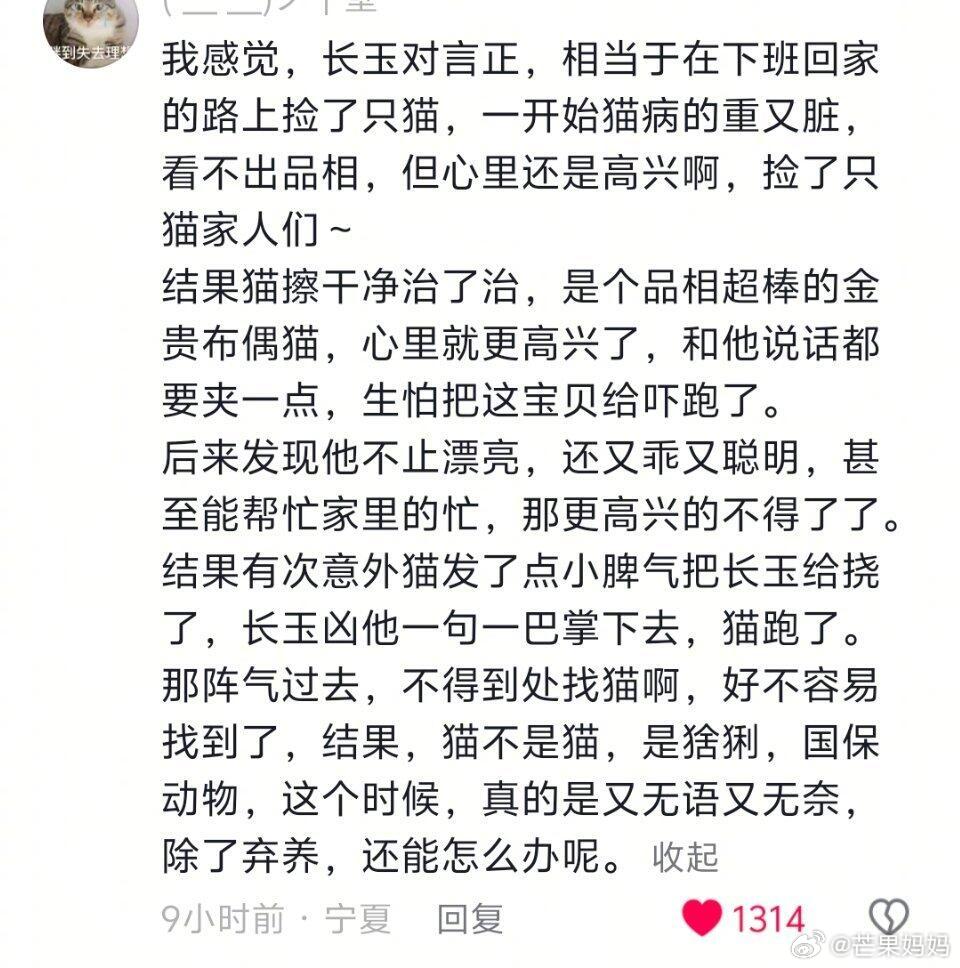 原著谢征和长玉提了分手原来猫塑谢征一切就能解释得通了 