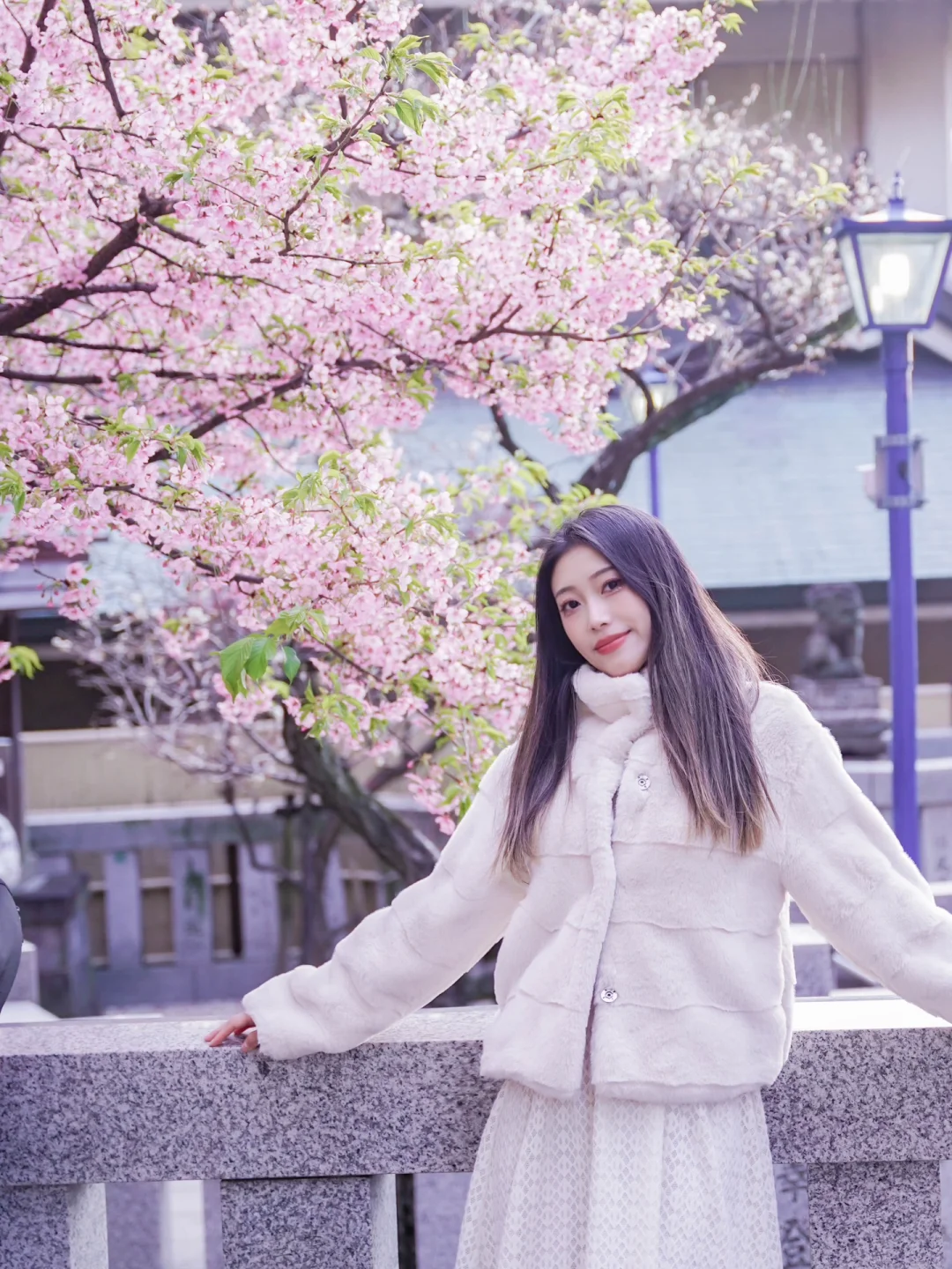 东京上野公园樱花实况，附详细打卡点位！