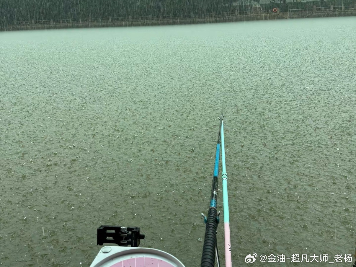 这雨是越下越大，我的护都还没装满。算了算了准备收杆回家黄金金价黄金现货外汇黄金原
