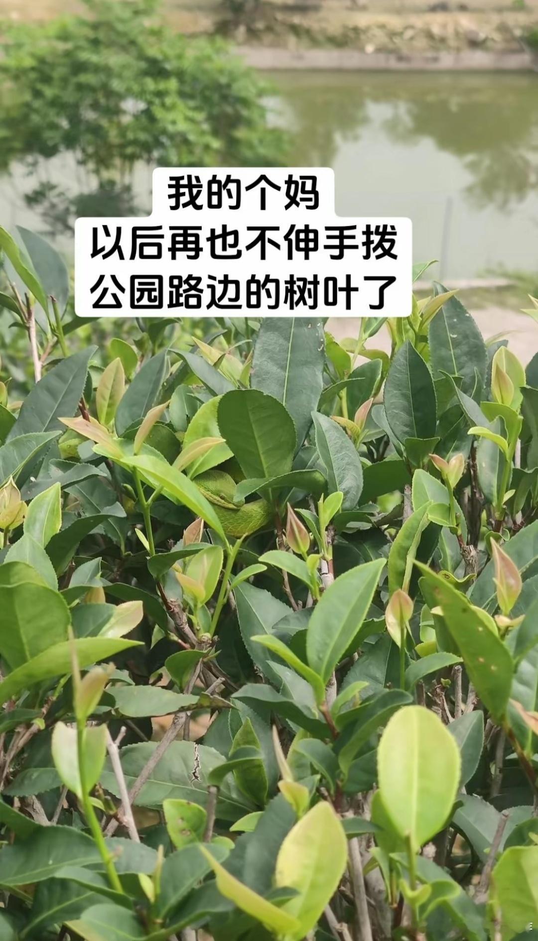 看清楚的那一刻我汗毛都竖起来了