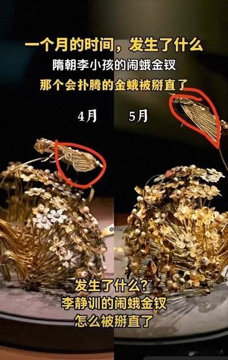 4月还颤颤巍巍的金蛾子，到了5月被发现金线给拉直了，原因是游客拍玻璃会让金蛾子动