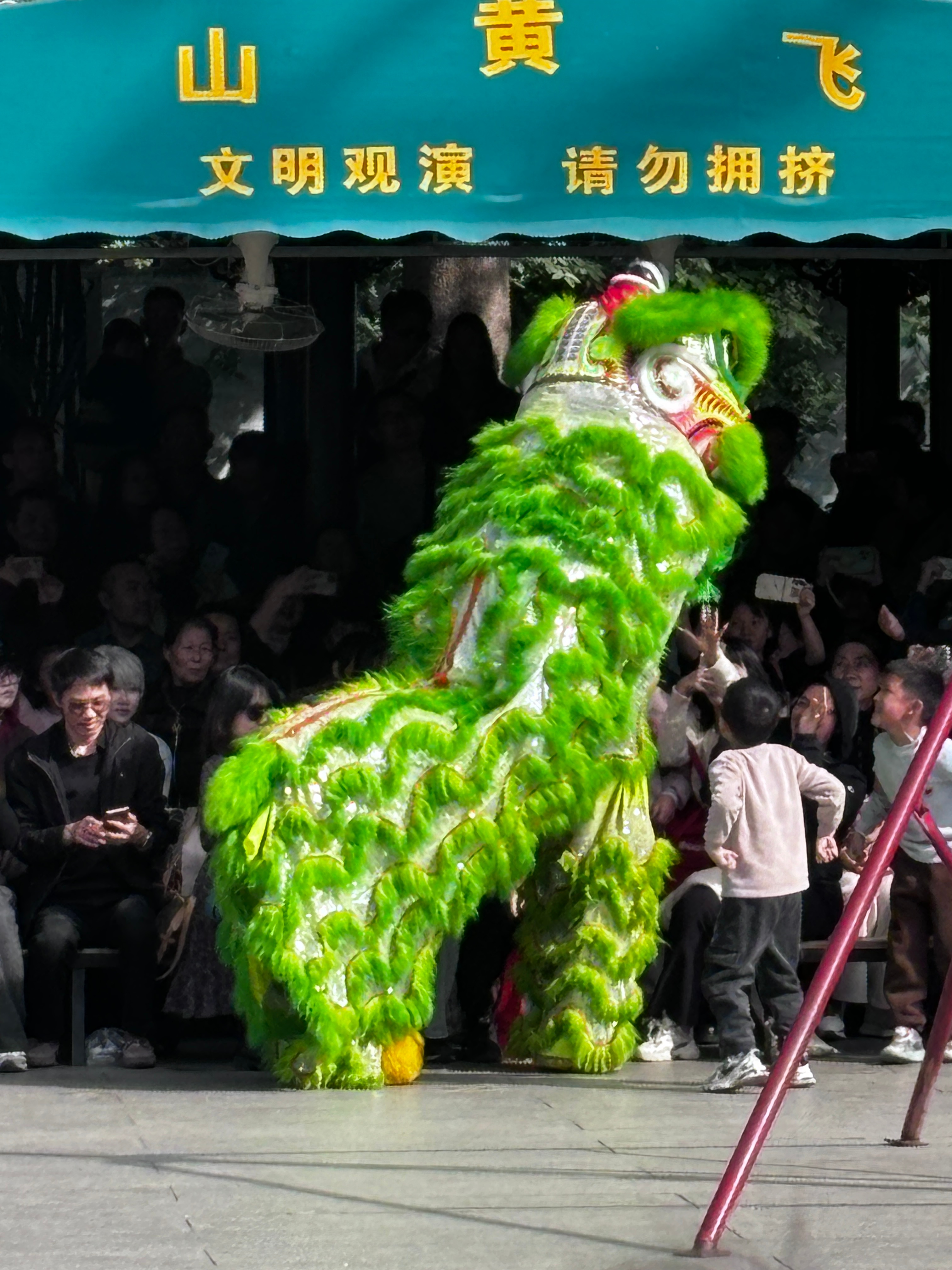 广东醒狮每一个动作都是表情包  舞狮竟然可以表达哭唧唧 广东醒狮的广东醒狮每个动