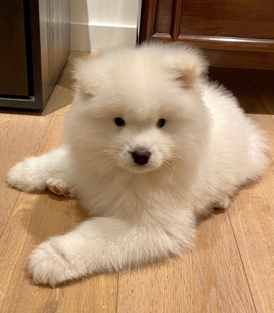 好标准的三孔插座耶 