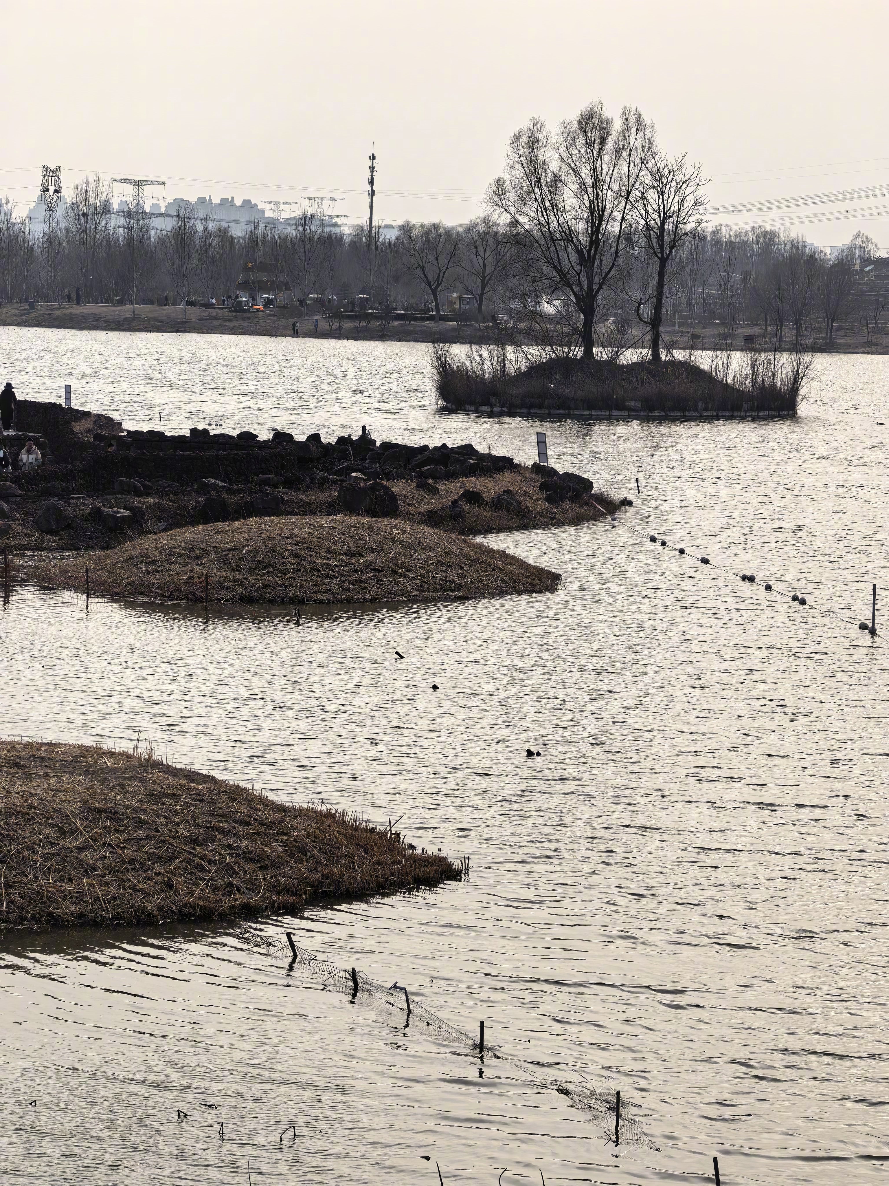 今天带家人逛公园，北方直到4月才能舒服点，3月还是有点冷，也没点绿色，唉。还是图
