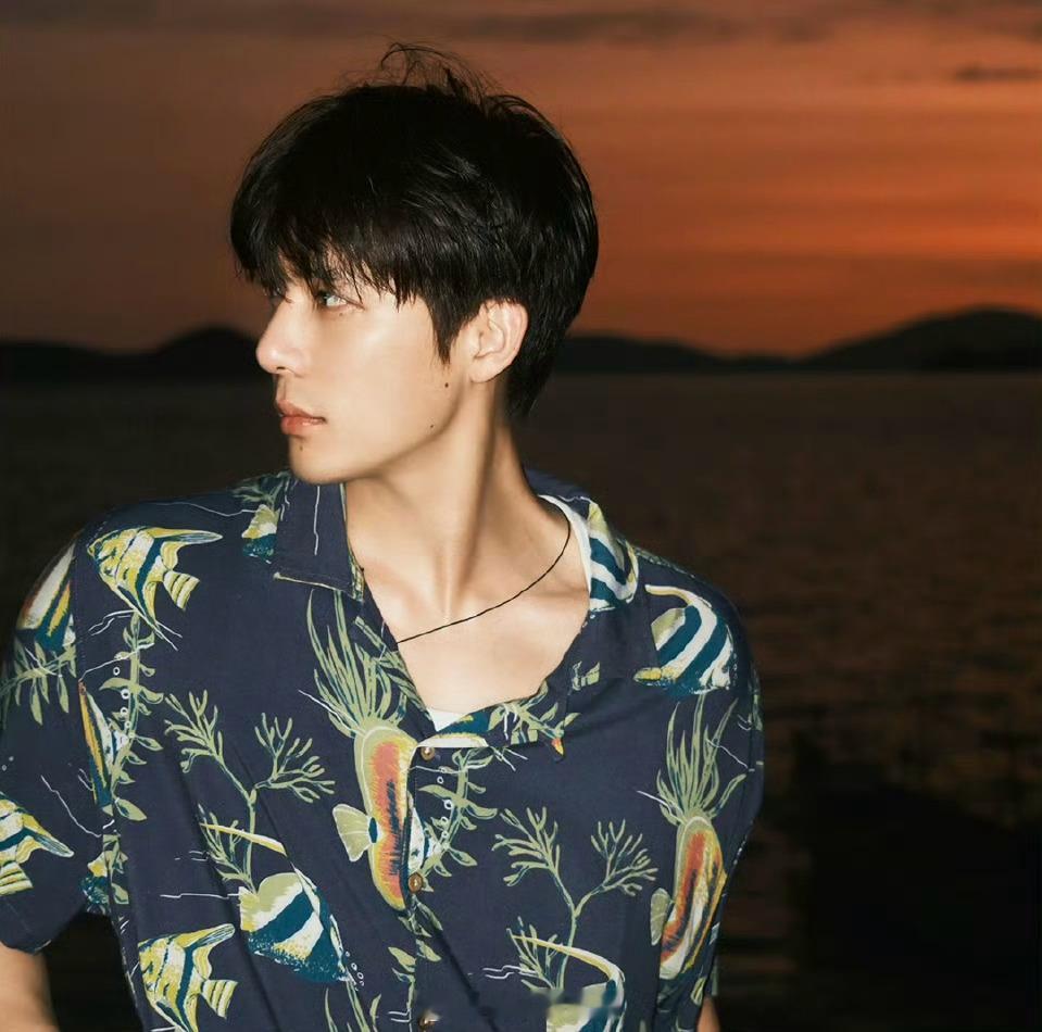 派酱安利王安宇28岁庆生照 叮咚！28岁生日海岛九宫格解锁！🌴花衬衫、湿发、落