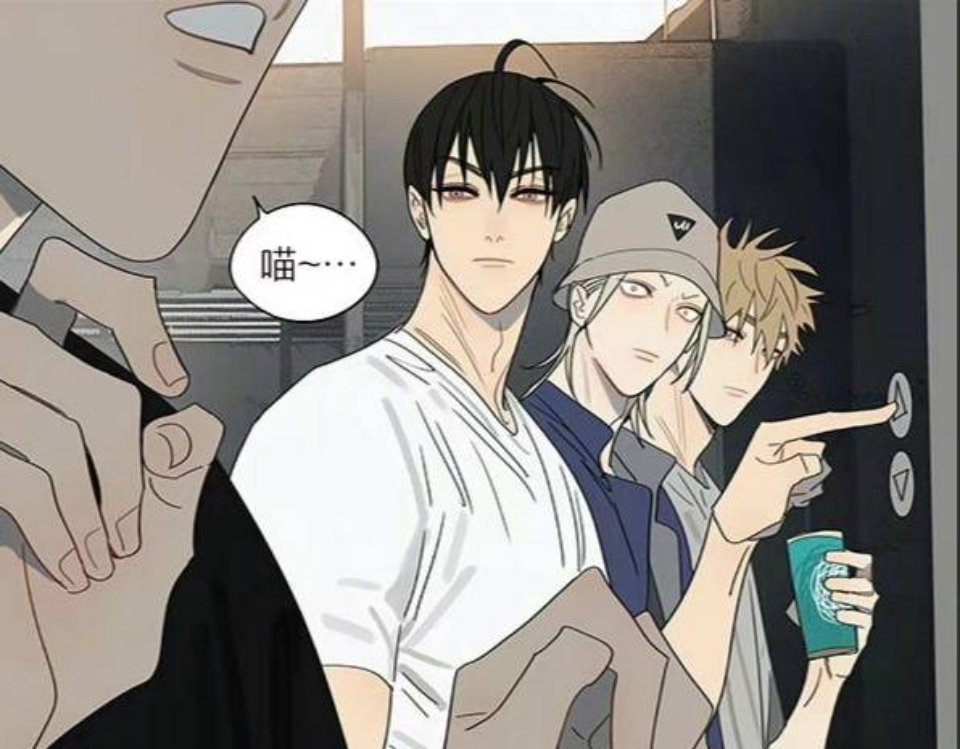 十九天贺天：喵喵喵，老婆好可爱漫画  cr：old先 