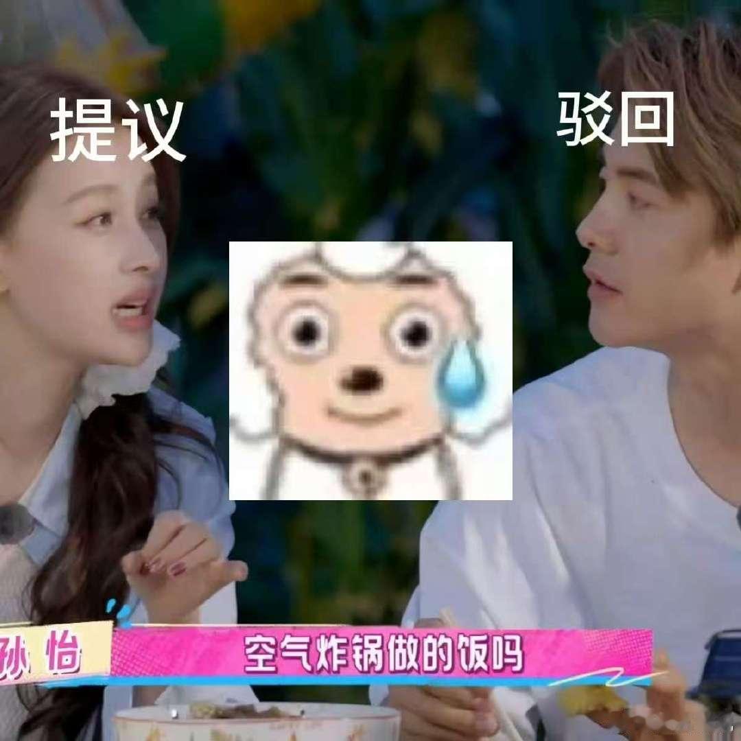 孙怡空气炸锅的梗过不去了要说空气炸锅的“最佳推销员”，那非孙怡莫属！节目里宣传太