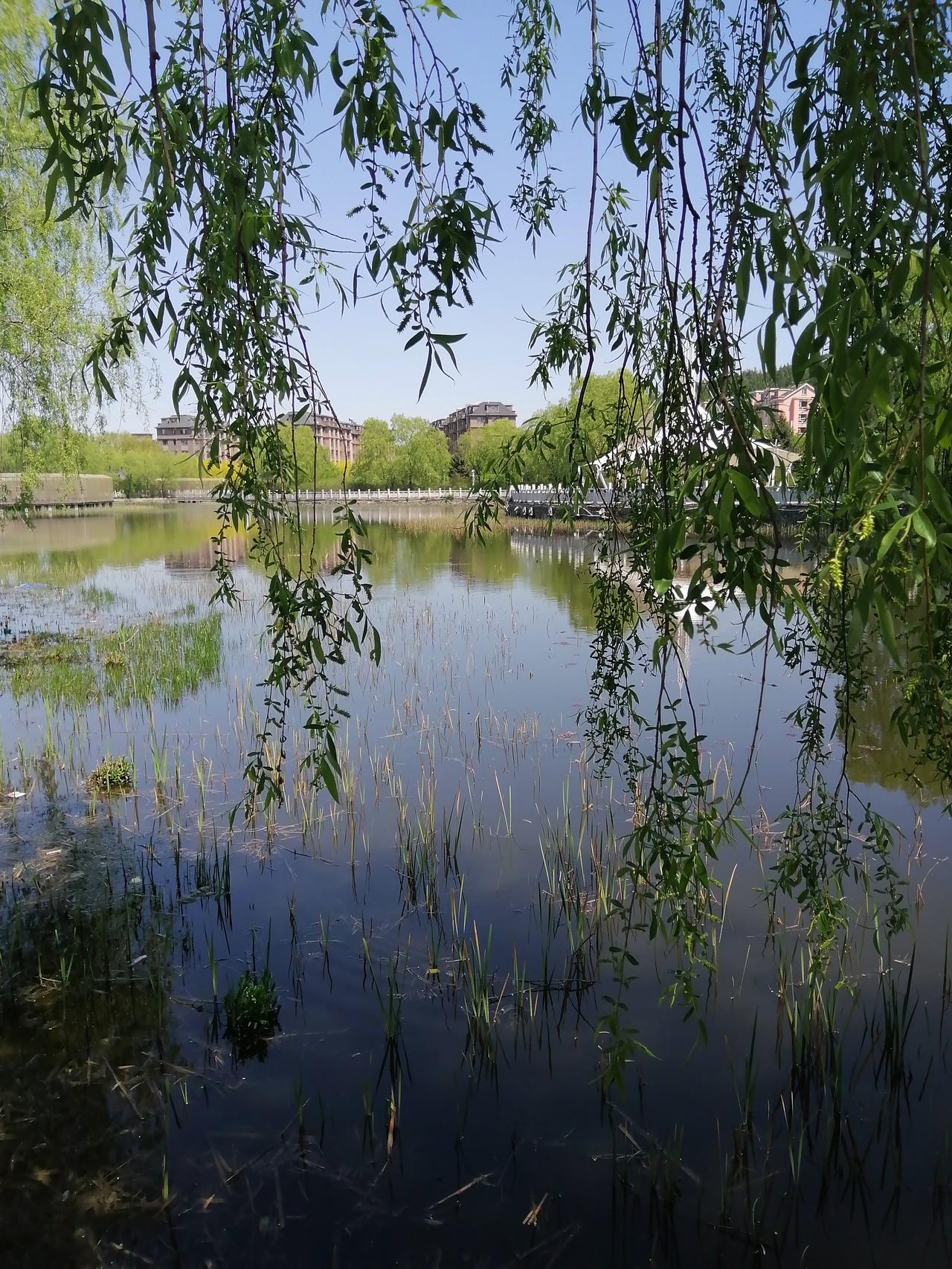 女人结婚的核心诉求是什么呢？
其实大部分女人结婚的核心诉求性只排在了最后！
女人