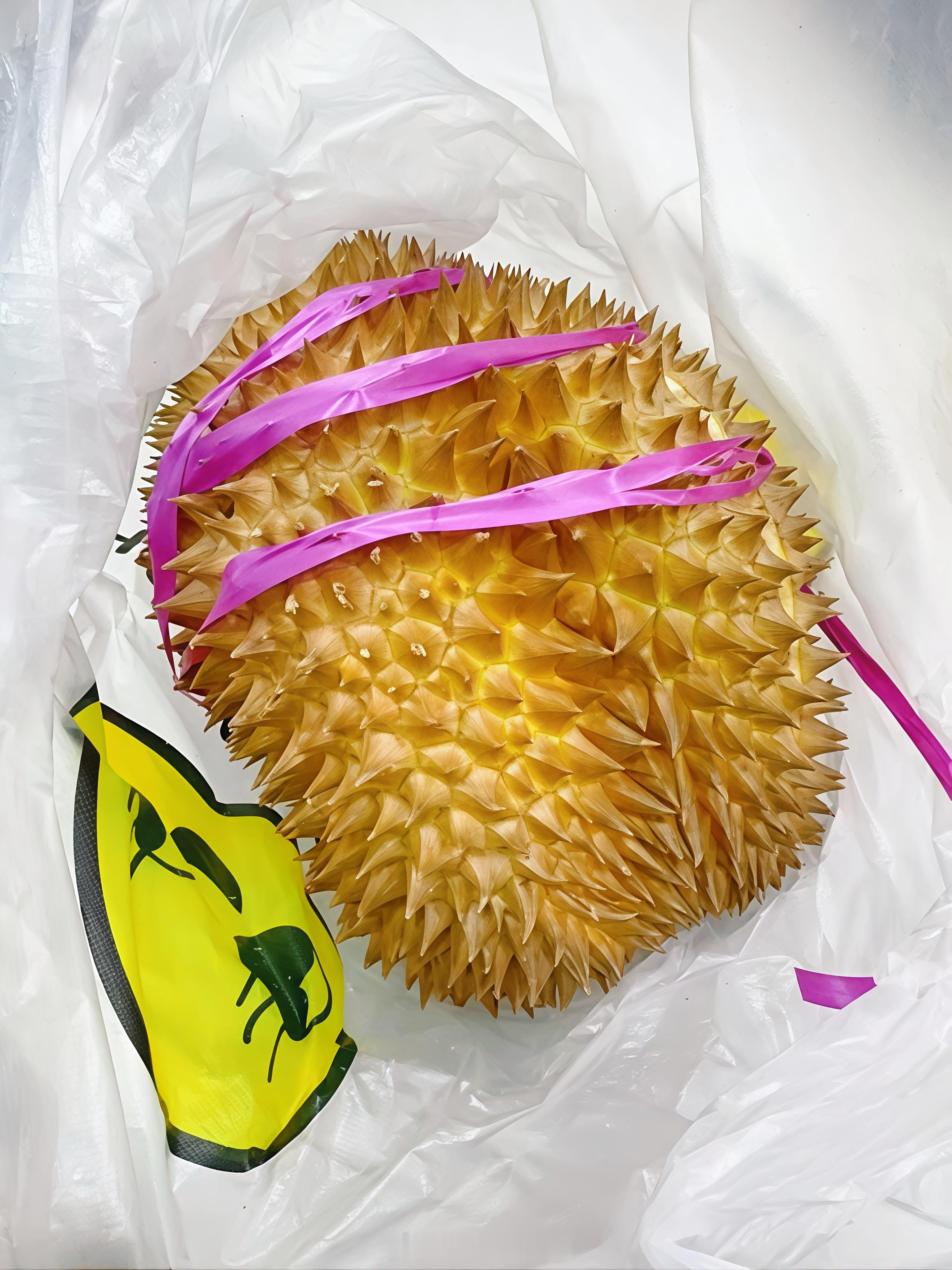 又是一个报恩榴莲