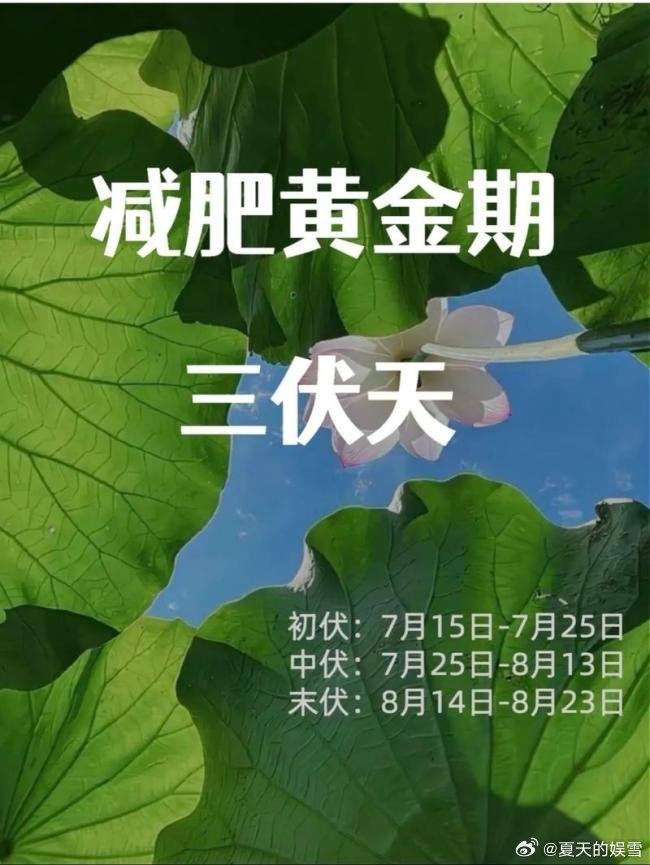 原来三伏天才是减肥黄金期高温加快身体循环运转，多余油脂更容易被分解代谢，避开冰镇