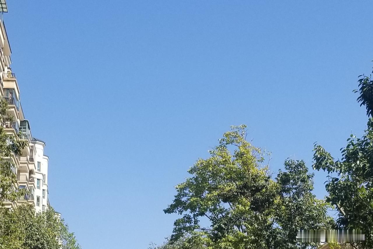 云南昆明，这是提前开启夏天模式了吗？这几日，明显能感受到太阳的炽热，天空澄澈得不