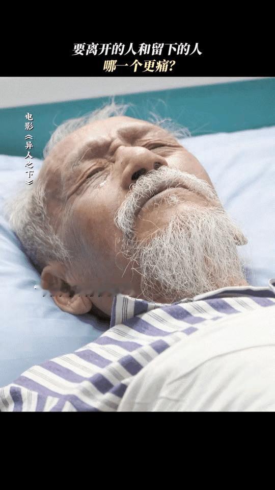 看了一下陈彼得老先生的生平，发现他好伟大呀！

出生在飞行员的家庭，却选择了音乐