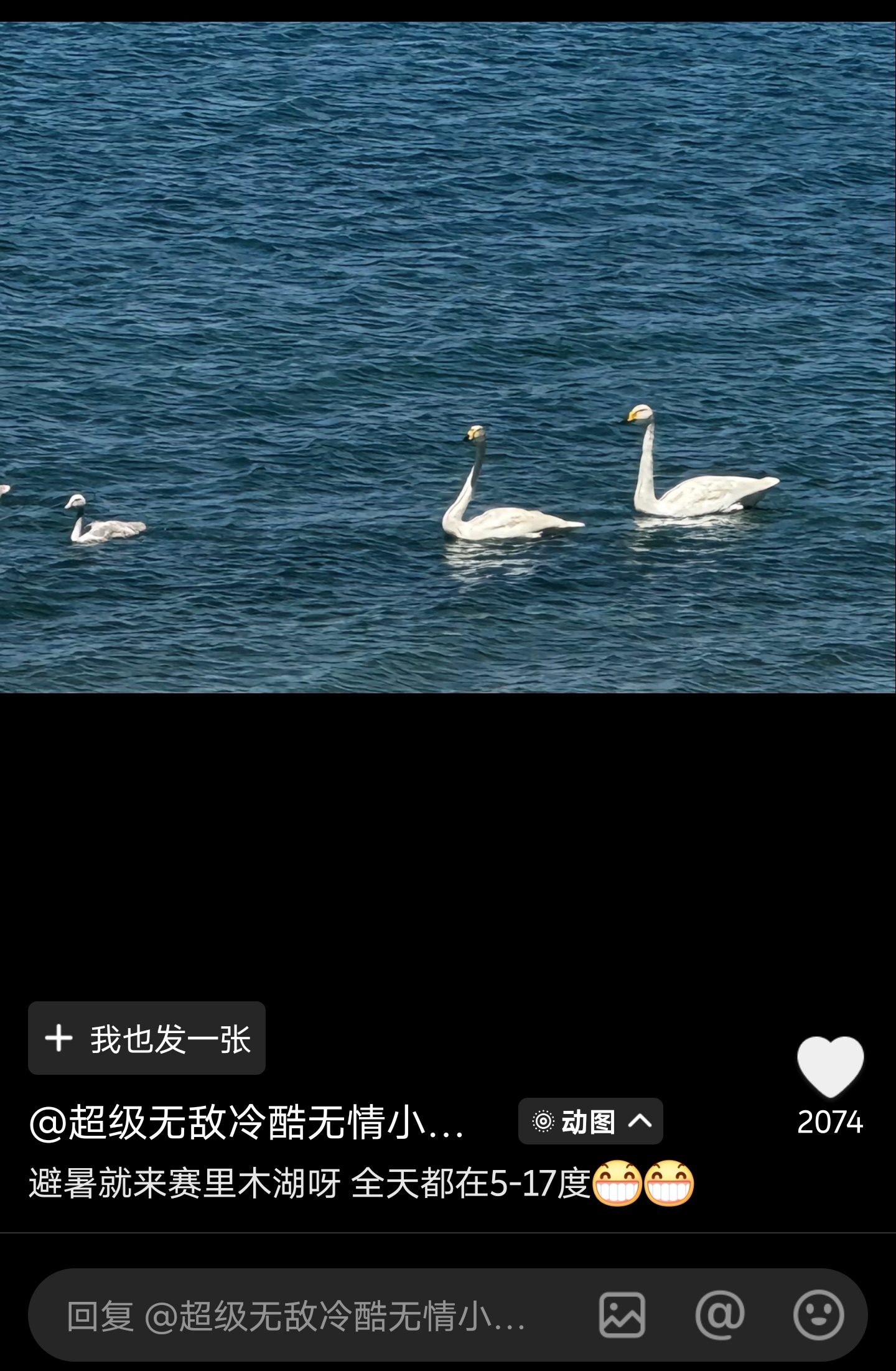 我一直有个疑问，赛里木湖能下去游泳吗？我也是懒，随便搜一下就有答案的，直到今天我