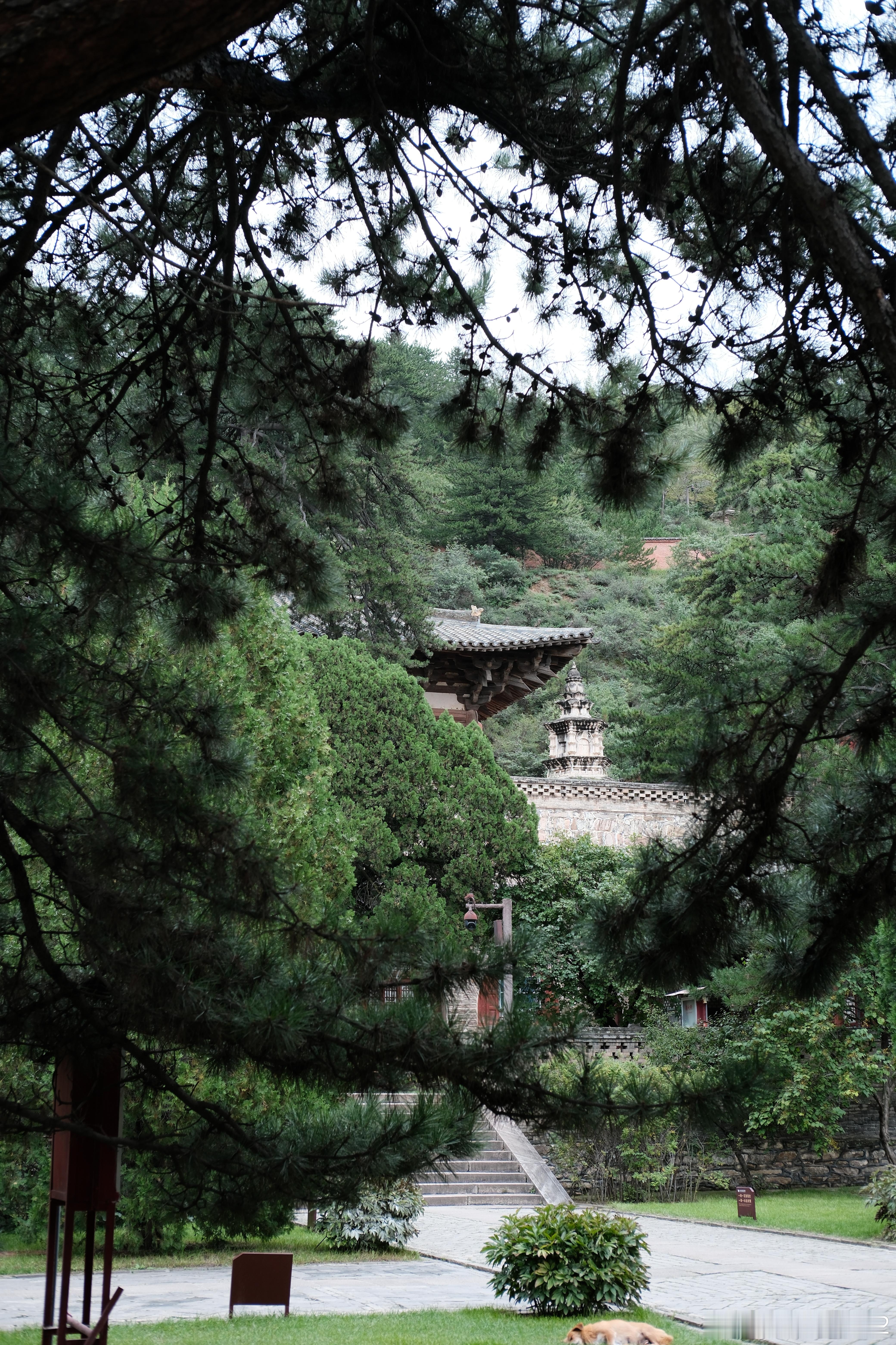 佛光寺，87年前林徽因梁思成夫妇艰辛辗转来到这里，他的存在打破了日本学者宣称的中