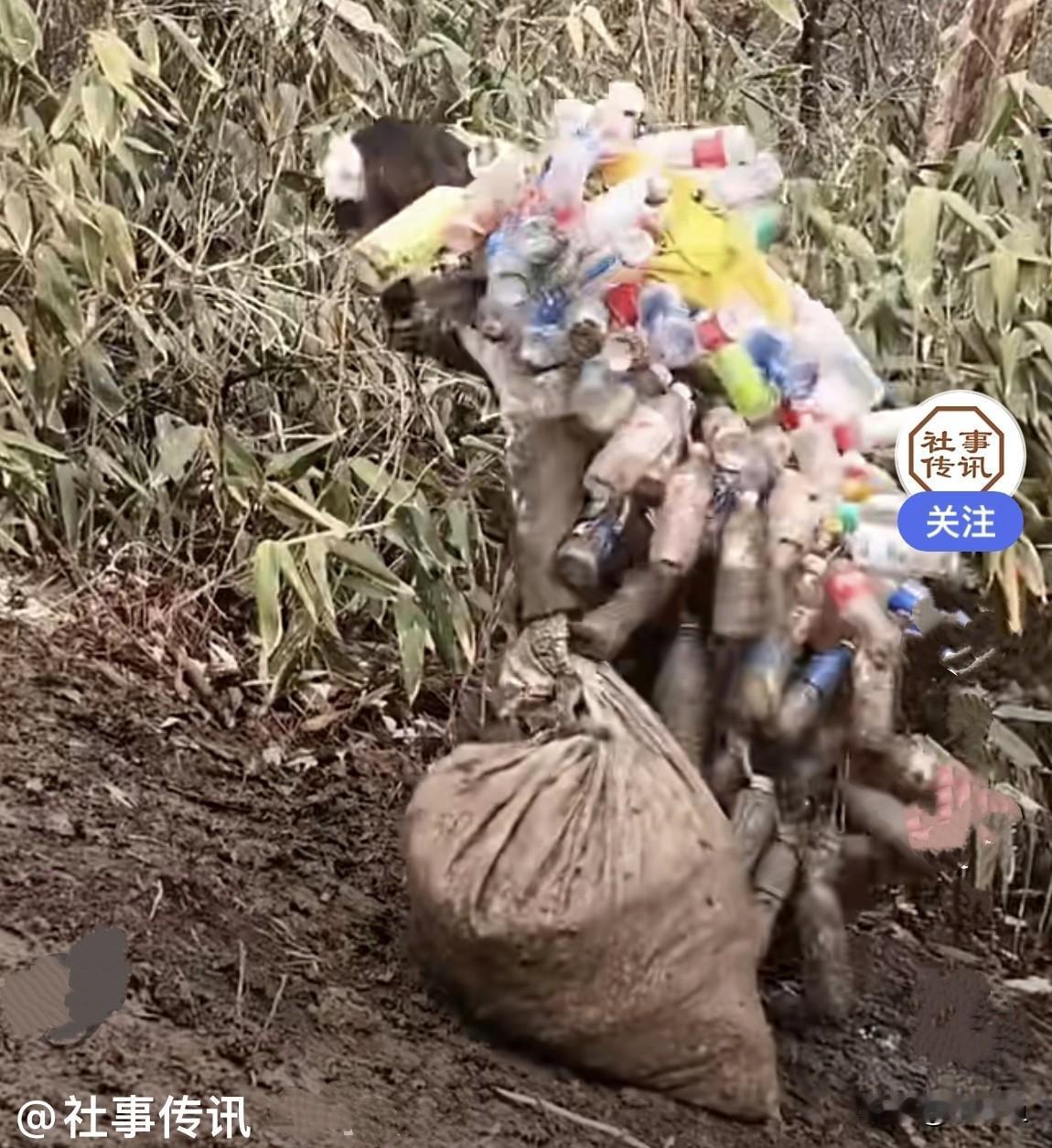 近日，浙江90后女孩陈晟三年多登山捡垃圾的视频走红网络……
    陈晟三年来多