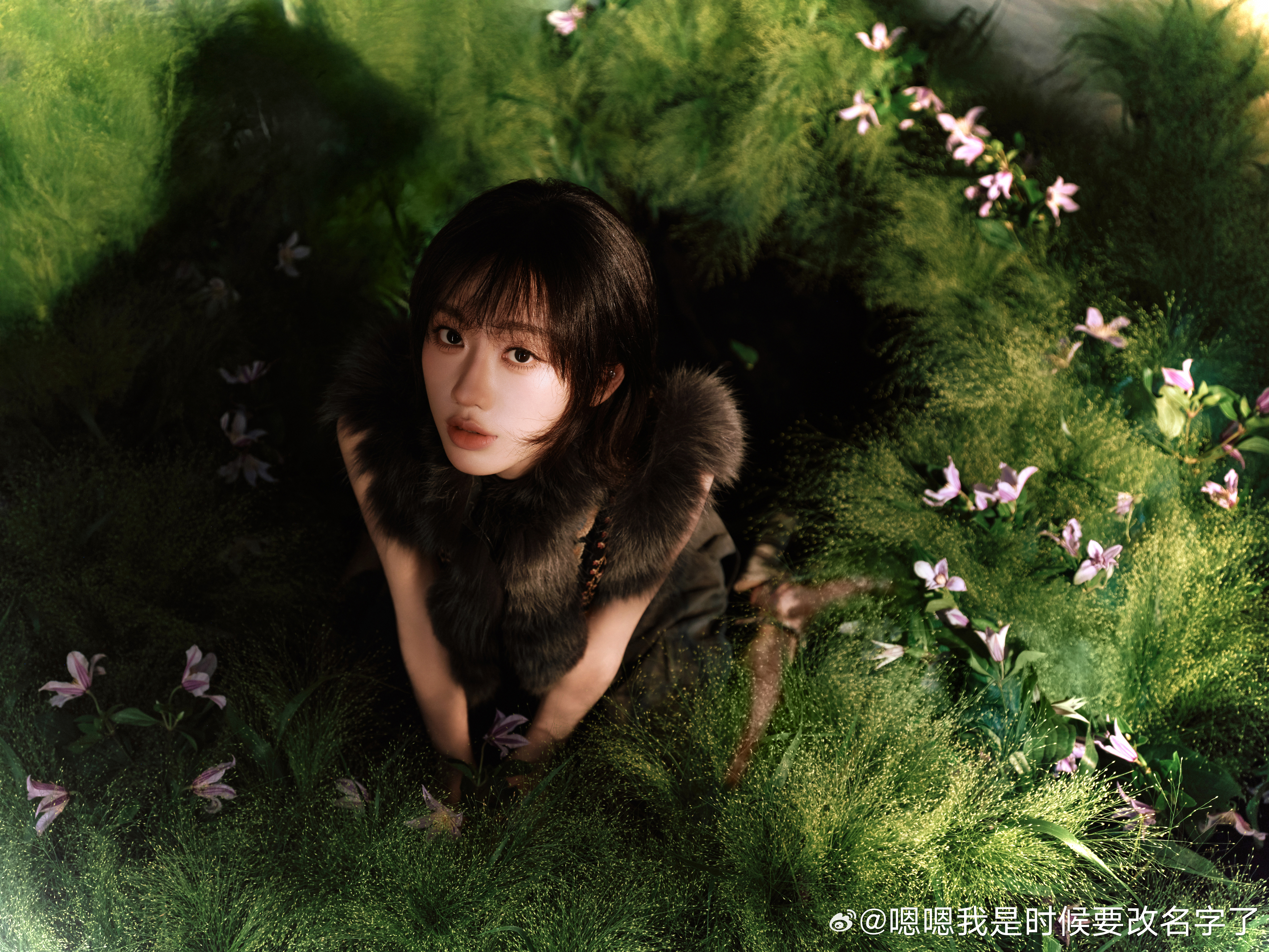 邹元清草木光影氛围感邹元清暗夜森系大片邹元清这组森系图循环看好几遍，树影斑驳落在