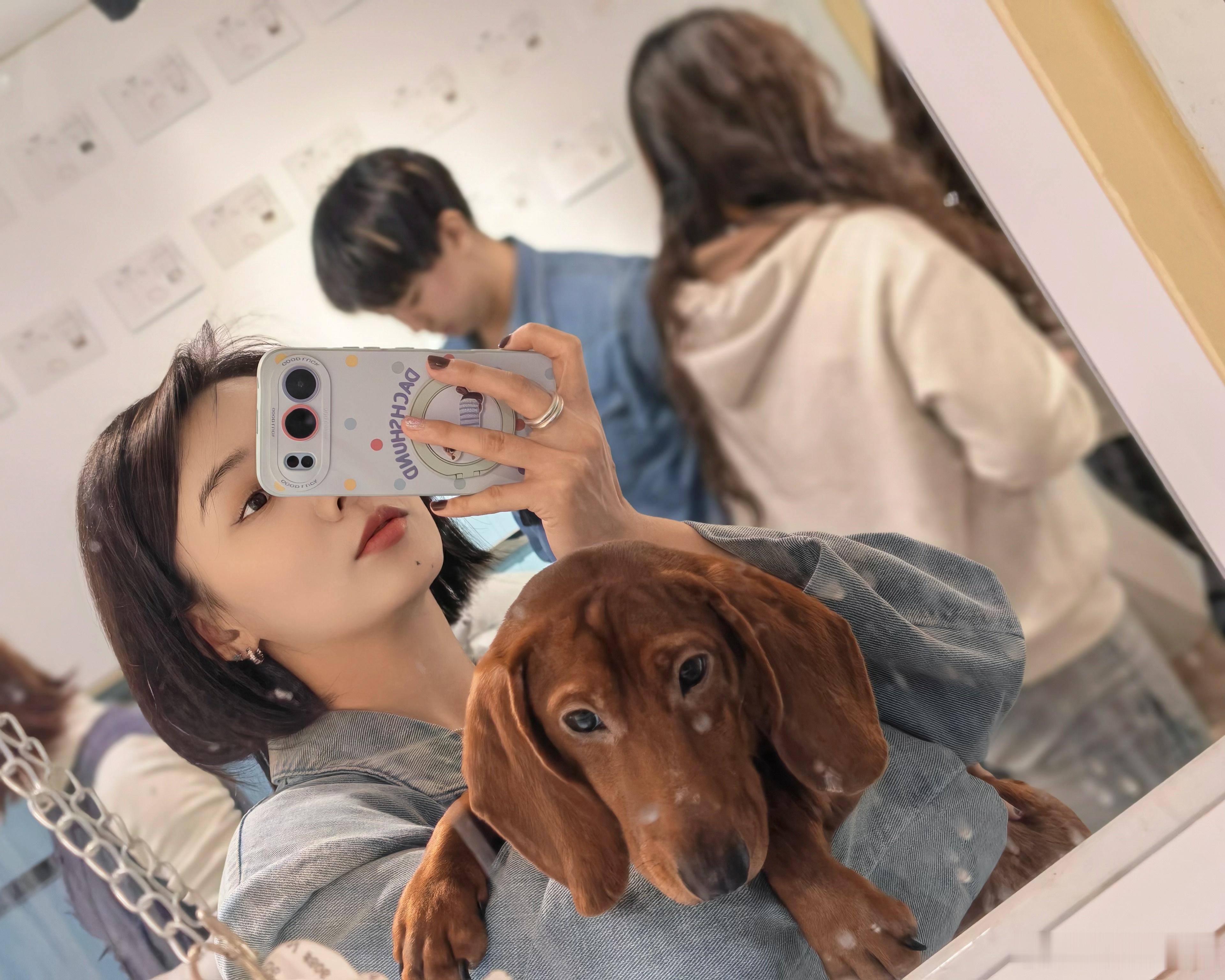 汪汪队开会🐾非正式跨年派对治愈随手拍