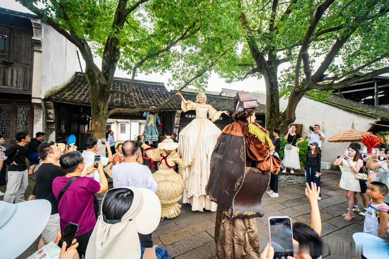谁懂啊！乌镇的夏天才是旅游天花板🪷 避开人挤人的网红打卡，在凉街踩水、荷塘泛舟