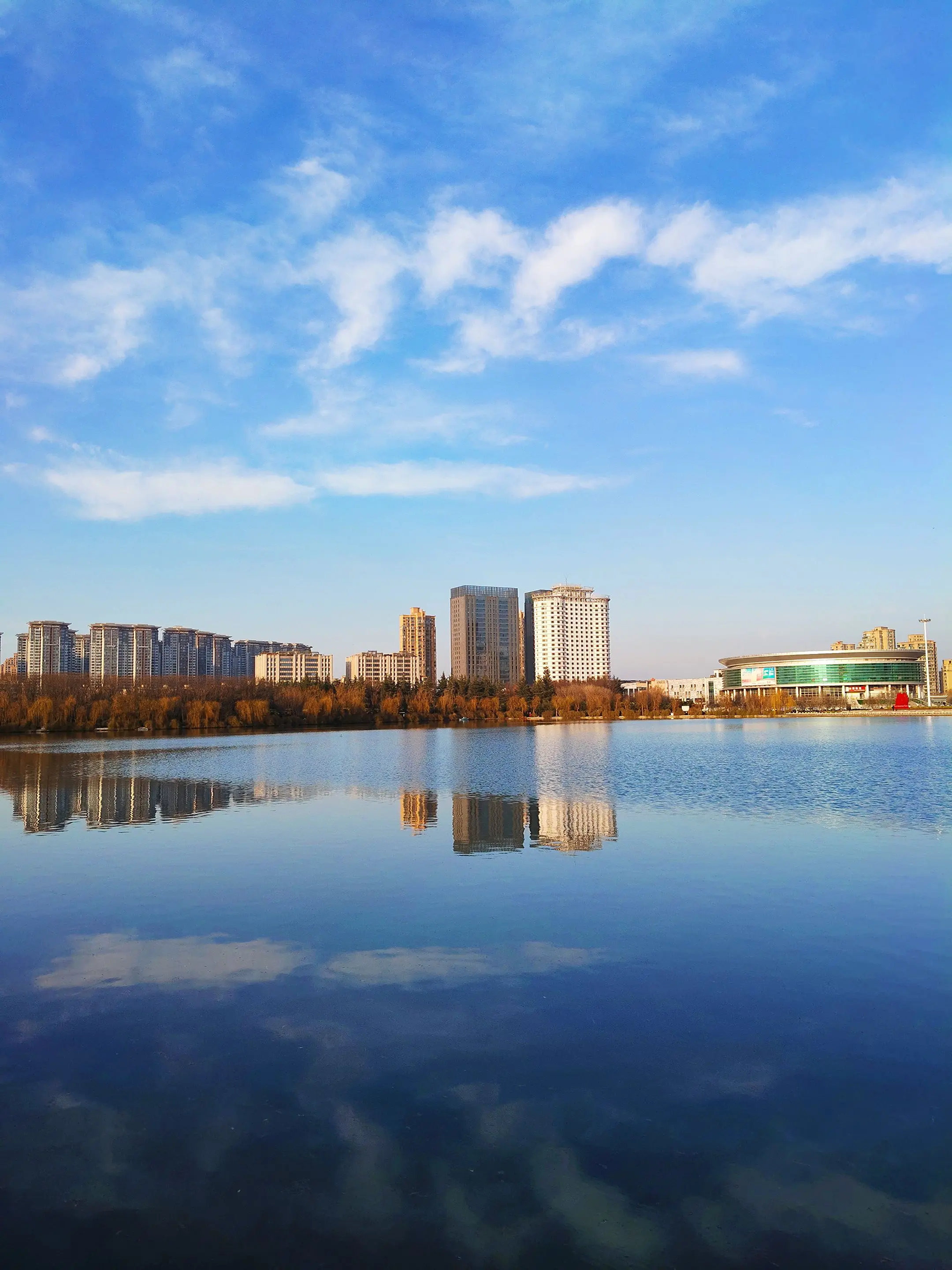 明日立春。明天4点立春，进入丙午年，天气渐暖了。