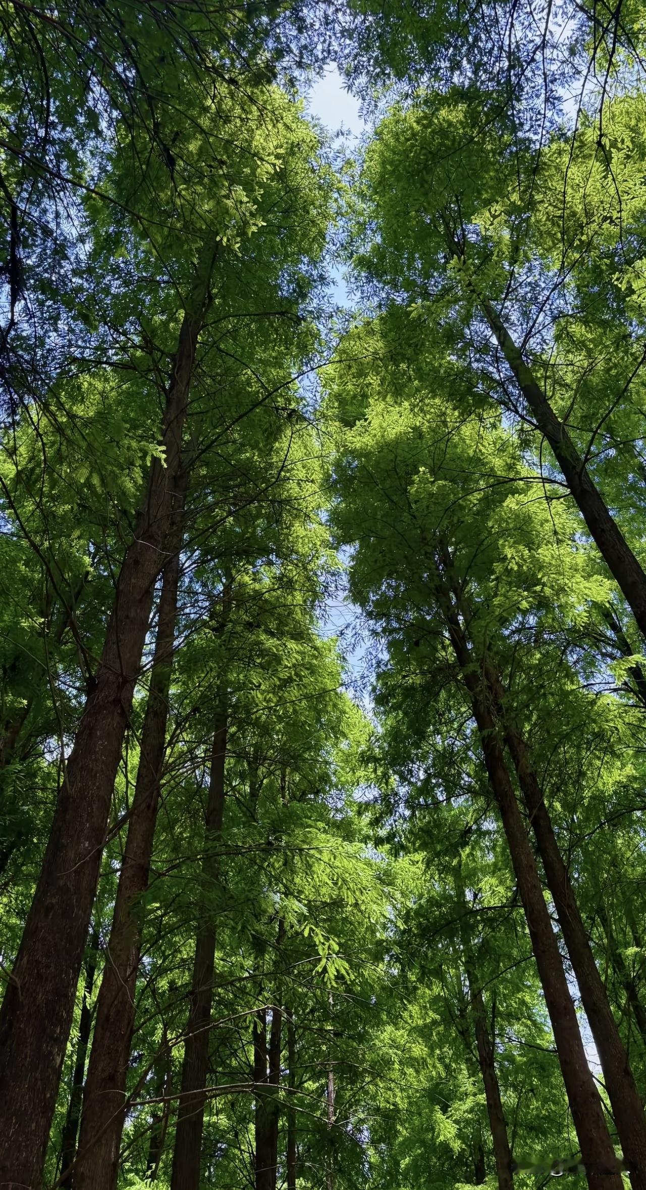 安全呀！“去”全世界任何地方，我都觉得安全。

其实，我的旅游是属于“心灵在网上
