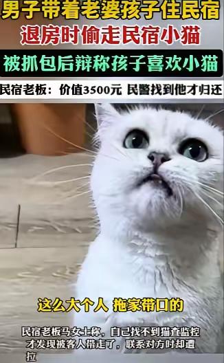 这起事件反映了家庭教育、法律意识和社会道德的多重问题，也令人深思。以下是我的看法