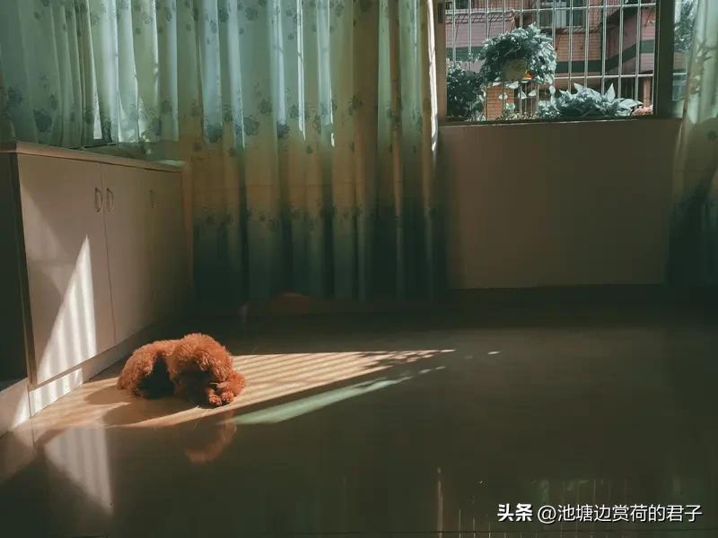 多晒太阳真能让自己有个好心情。我亲测有效！之前一段时间心情低落，整天窝在屋里，状