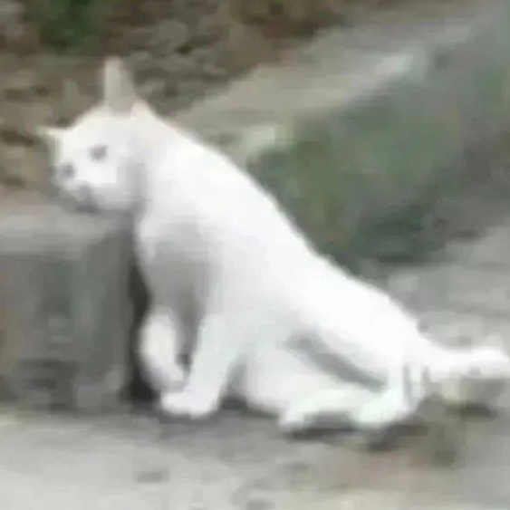 点开直播看到比分的我： ​​​