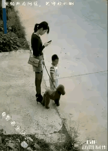 真的气死我啦！
如果在现场，我真的会忍不住抽这个女人几个耳光。

视频中，这个女